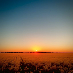 双飞二男同进一女泬
