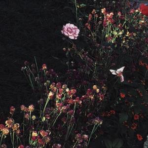 双飞二男同进一女泬
